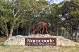 Naracoorte Town Entrance Sculpture Naracoorte