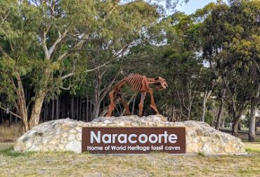 Naracoorte Town Entrance Sculpture Naracoorte