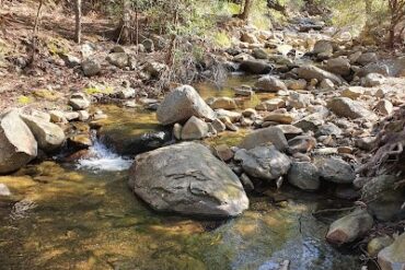 New Town Rivulet Linear Park Lenah Valley