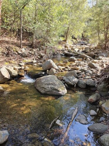 New Town Rivulet Linear Park Lenah Valley