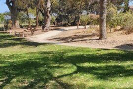 Newborough Rainer Reserve Karrinyup