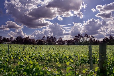 Nicol's Paddock Waurn Ponds