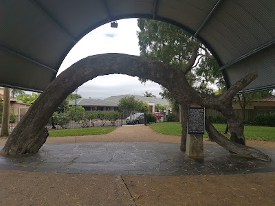 Old Gum Tree Reserve Glenelg North