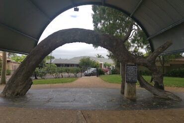 Old Gum Tree Reserve Glenelg North