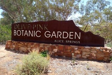 Olive Pink Botanic Garden Alice Springs