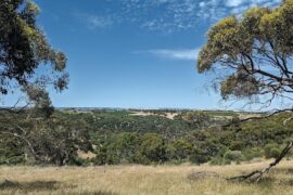 Onkaparinga River National Park Woodcroft (SA)