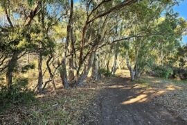 Onkaparinga River Recreation Park Seaford Meadows