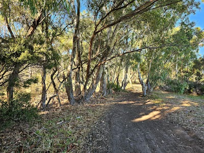 Onkaparinga River Recreation Park Seaford Meadows