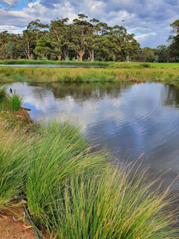 Victoria Park / Pakapakanthi (Park 16) Adelaide