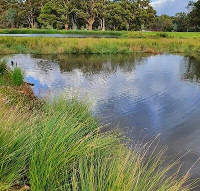 Victoria Park / Pakapakanthi (Park 16) Adelaide