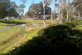 Paquita Park Mawson Lakes