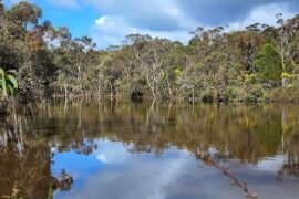 Para Wirra Conservation Park Munno Para West