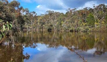 Para Wirra Conservation Park Munno Para West