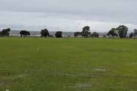 Parafield Gardens Oval Parafield Gardens