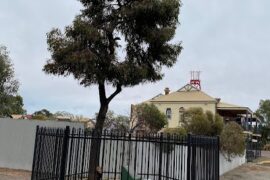 Patrick Hannans Tree Kalgoorlie