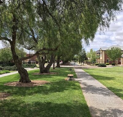 Peppercorn Circuit Reserve Mawson Lakes