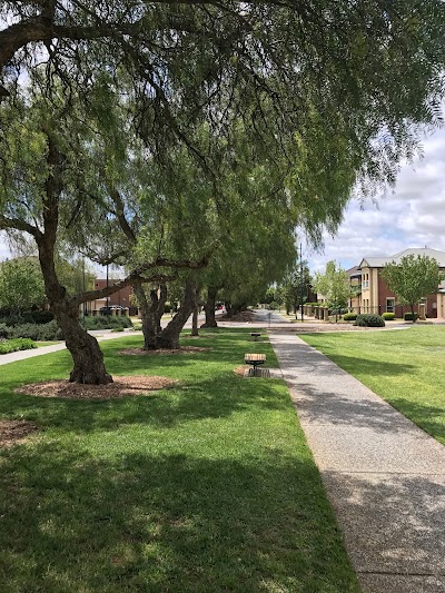 Peppercorn Circuit Reserve Mawson Lakes