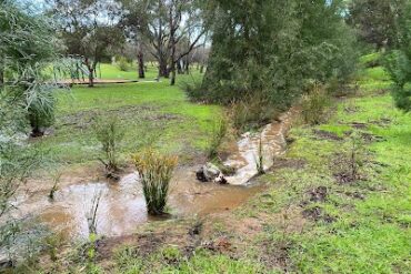 Peppermint Grove Park Aberfoyle Park