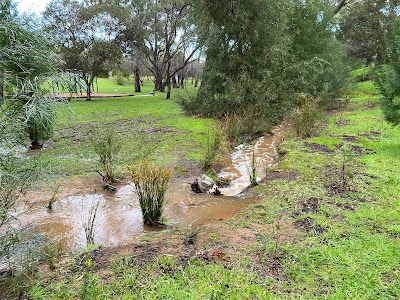 Peppermint Grove Park Aberfoyle Park