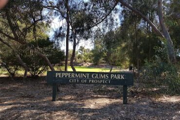 Peppermint Gums Park Prospect (SA)