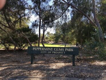 Peppermint Gums Park Prospect (SA)