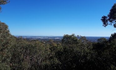 Pinaster Park Ellenbrook