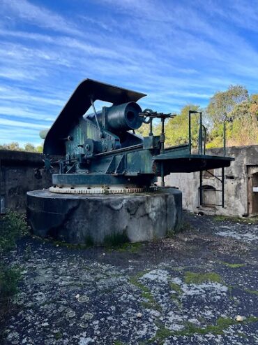 Plantagenet Battery Albany