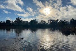 Prospect Hill Retarding Basin Narre Warren