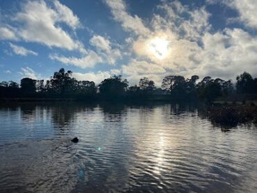 Prospect Hill Retarding Basin Narre Warren