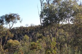 Public Community Playground Morphett Vale