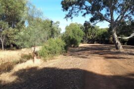 Rains Drive Reserve Pooraka