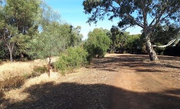 Rains Drive Reserve Pooraka