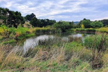 Redan wetlands Redan