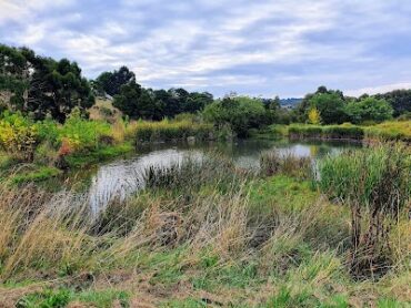 Redan wetlands Redan