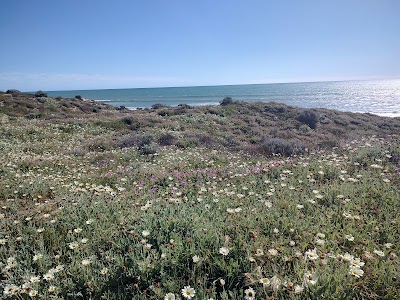 Relaxed Ocean View Meadow Springs