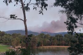 Reservoir Road Reserve Campbelltown (SA)