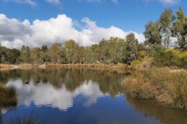 Happy Valley/Reynella East Wetlands Woodcroft (SA)