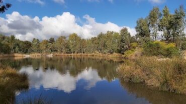 Happy Valley/Reynella East Wetlands Woodcroft (SA)