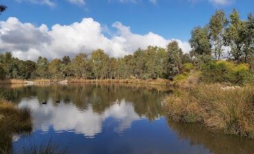 Happy Valley/Reynella East Wetlands Woodcroft (SA)