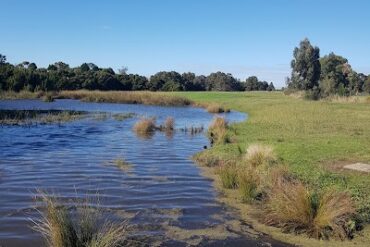 River Gum Creek Reserve Hampton Park