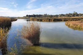 Rocky Gully Wetlands Murray Bridge