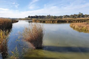 Rocky Gully Wetlands Murray Bridge