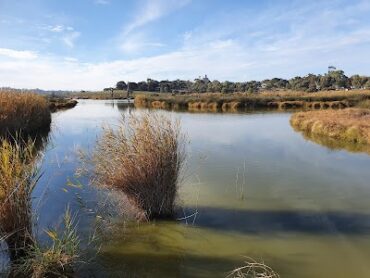 Rocky Gully Wetlands Murray Bridge