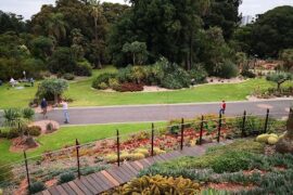 Royal Botanic Gardens Victoria - Melbourne Gardens Melbourne