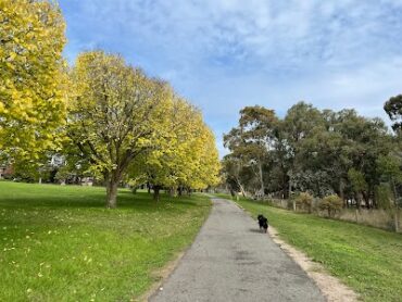 Ruffey Creek Trail Templestowe