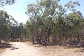 Sandy Creek Conservation Park Blakeview