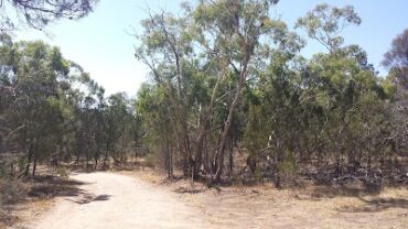 Sandy Creek Conservation Park Blakeview