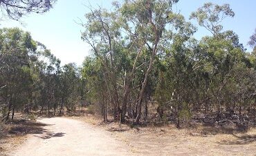 Sandy Creek Conservation Park Blakeview