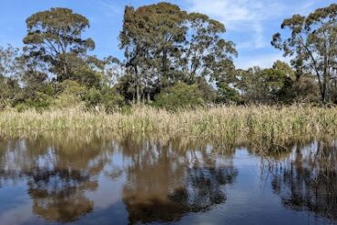 Shaxton Reserve Frankston