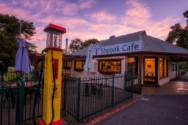 Sheoak Cafe Belair